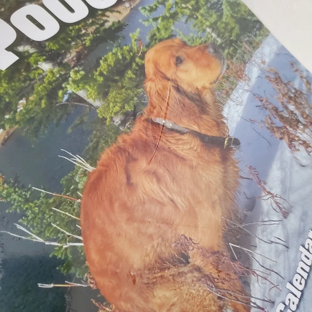 Pooping Pooches 2026 Wall Calendar Funny Dog Gag Gift White Elephant Humor